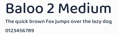 Baloo 2 Medium預覽圖