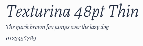 Texturina 48pt Thin預覽圖