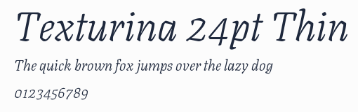 Texturina 24pt Thin預覽圖