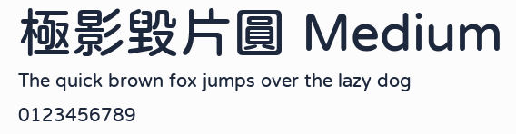 極影毀片圓 Medium預覽圖