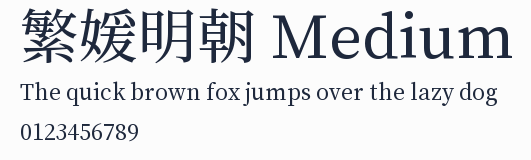 繁媛明朝 Medium