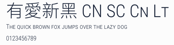有愛新黑 CN SC Cn Lt預覽圖