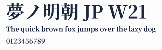 夢ノ明朝 JP W21