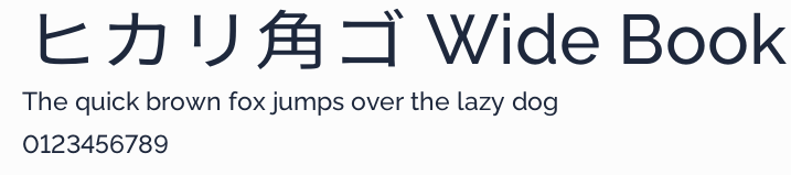 ヒカリ角ゴ Wide Book預覽圖