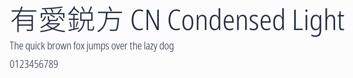 有愛鋭方 CN Condensed Light預覽圖