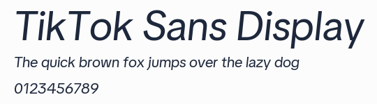 TikTok Sans Display預覽圖
