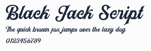 Black Jack Script預覽圖
