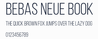 Bebas Neue Book