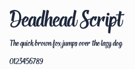 Deadhead Script預覽圖