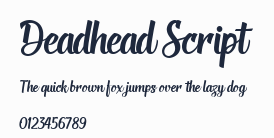 Deadhead Script預覽圖