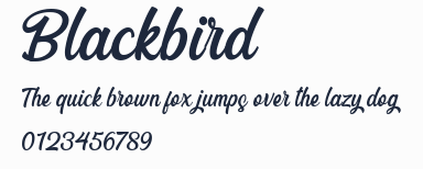 Blackbird預覽圖