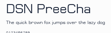 DSN PreeCha預覽圖