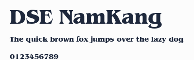 DSE NamKang預覽圖