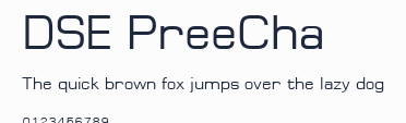 DSE PreeCha預覽圖