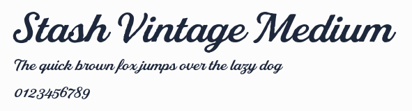 Stash Vintage Medium預覽圖