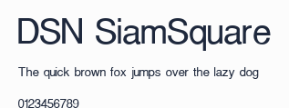 DSN SiamSquare預覽圖