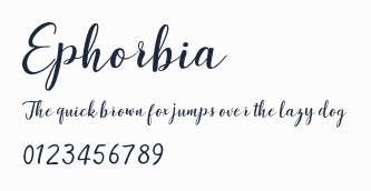 Ephorbia預覽圖