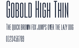 Gobold High Thin預覽圖