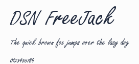 DSN FreeJack預覽圖