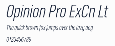 Opinion Pro ExCn Lt預覽圖