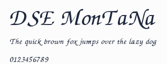 DSE MonTaNa預覽圖