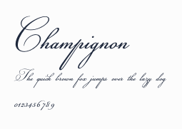 Champignon預覽圖