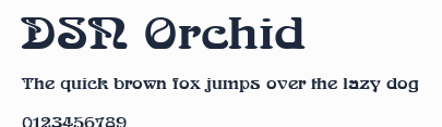 DSN Orchid預覽圖