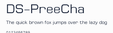DS-PreeCha預覽圖