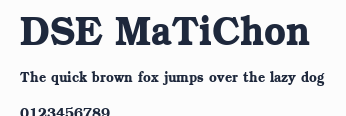 DSE MaTiChon預覽圖