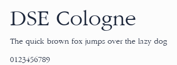 DSE Cologne預覽圖