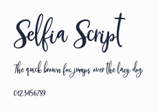 Selfia Script預覽圖