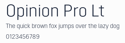 Opinion Pro Lt預覽圖