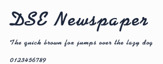 DSE Newspaper預覽圖