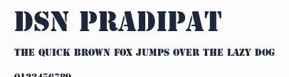 DSN PraDiPat預覽圖