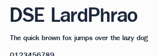 DSE LardPhrao預覽圖