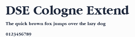 DSE Cologne Extend預覽圖