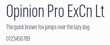 Opinion Pro ExCn Lt預覽圖