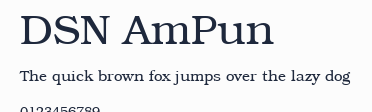 DSN AmPun預覽圖