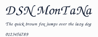 DSN MonTaNa預覽圖