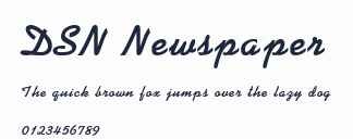 DSN Newspaper預覽圖