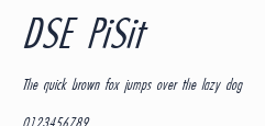 DSE PiSit預覽圖