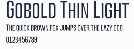Gobold Thin Light預覽圖