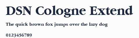 DSN Cologne Extend預覽圖