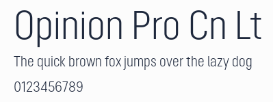 Opinion Pro Cn Lt預覽圖