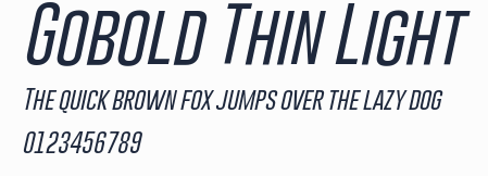 Gobold Thin Light預覽圖