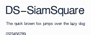 DS-SiamSquare預覽圖