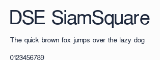 DSE SiamSquare預覽圖