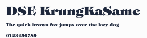 DSE KrungKaSame預覽圖