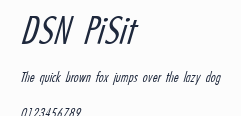 DSN PiSit預覽圖