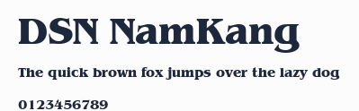 DSN NamKang預覽圖